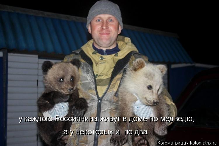 Котоматрица: у каждого Россиянина живут в доме по медведю, а у некоторых и  по два...