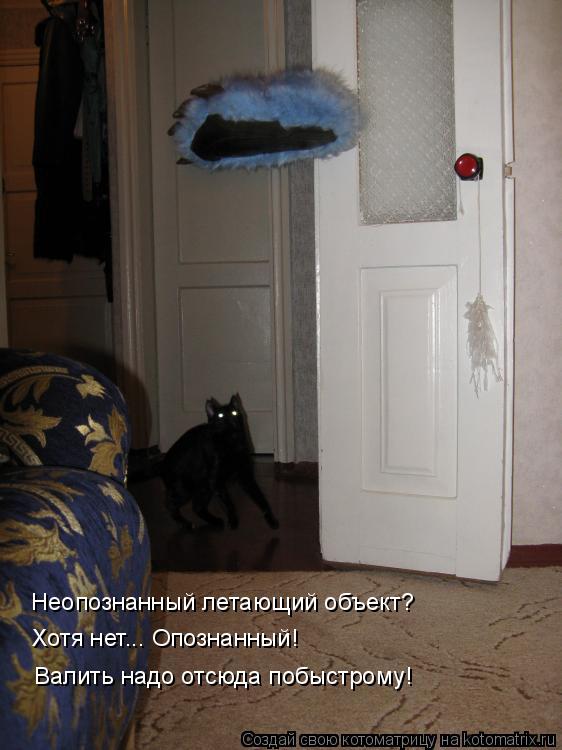 Котоматрица: Неопознанный летающий объект? Хотя нет... Опознанный! Валить надо отсюда побыстрому!