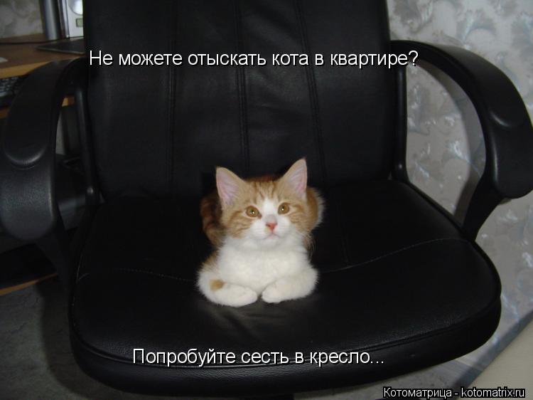 Котоматрица: Не можете отыскать кота в квартире? Попробуйте сесть в кресло... Не можете отыскать кота в квартире?  Попробуйте сесть в кресло...