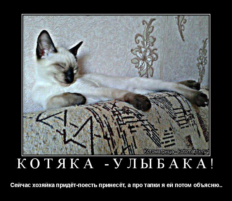 Котоматрица: КОТЯКА -УЛЫБАКА!  Сейчас хозяйка придёт-поесть принесёт, а про тапки я ей потом объясню..