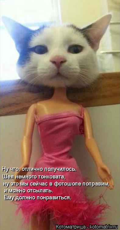 Котоматрица: Ну что, отлично получилось. Шея немного тонковата, ну это мы сейчас в фотошопе поправим, и можно отсылать.  Ему должно понравиться.