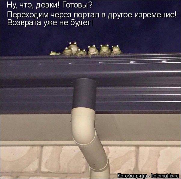 Котоматрица: Переходим через портал в другое изремение! Возврата уже не будет! Ну, что, девки! Готовы?