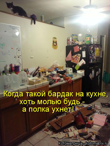 Котоматрица: Когда такой бардак на кухне, хоть молью будь -  а полка ухнет!