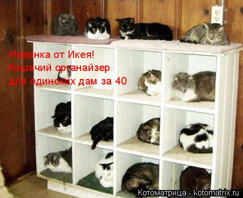 Котоматрица: Новинка от Икея! Кошачий органайзер  для одиноких дам за 40