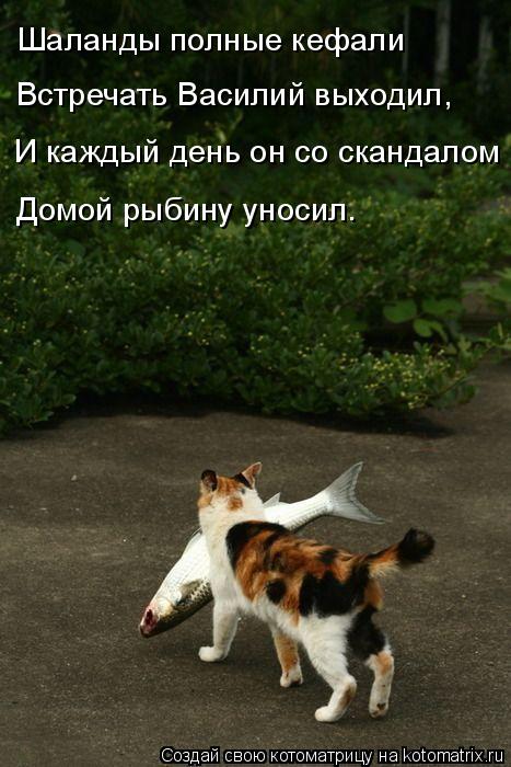 Котоматрица: Шаланды полные кефали Встречать Василий выходил, И каждый день он со скандалом Домой рыбину уносил.