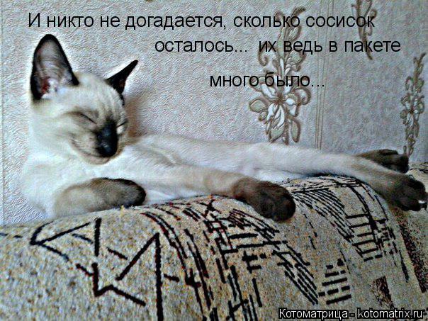 Котоматрица: И никто не догадается, сколько сосисок осталось ... их ведь в пакете много было...