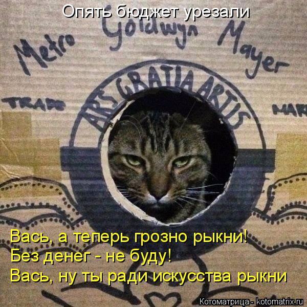 Котоматрица: Опять бюджет урезали Вась, а теперь грозно рыкни! Без денег - не буду! Вась, ну ты ради искусства рыкни