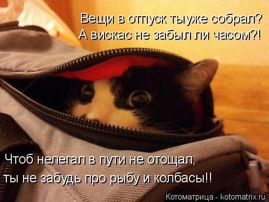 Вещи в отпуск тыуже собрал? А вискас не забыл ли часом?! Чтоб нелегал в пути не отощал, ты не забудь ... Котоматрица: Вещи в отпуск тыуже собрал? А вискас не забыл ли часом?! Чтоб нелегал в пути не отощал, ты не забудь про рыбу и колбасы!!
