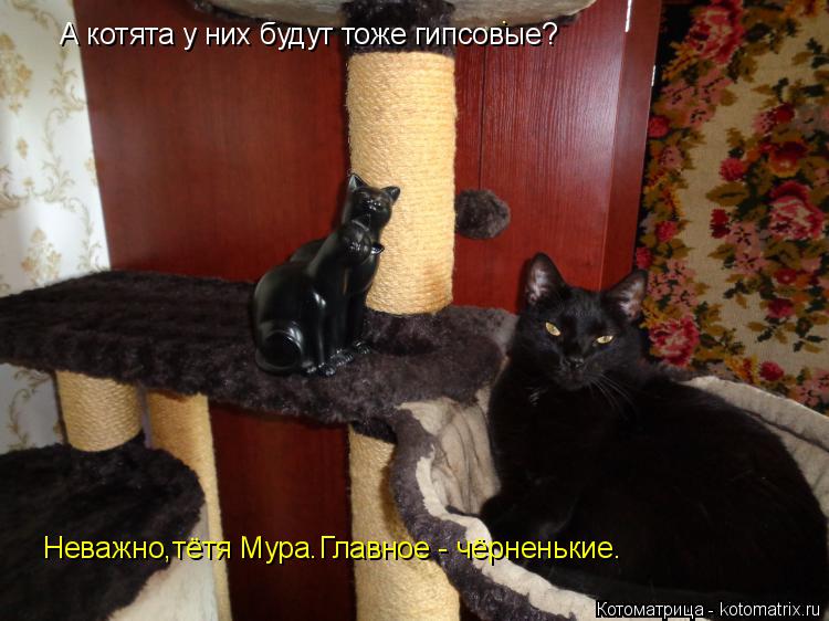 Котоматрица: А котята у них будут тоже гипсовые? Неважно,тётя Мура.Главное - чёрненькие. .
