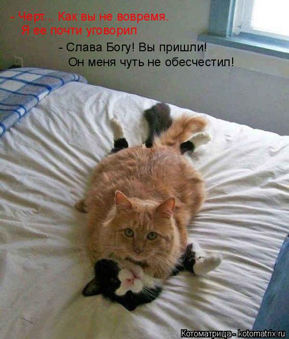 Котоматрица: - Черт... Как вы не вовремя. Я ее почти уговорил - Слава Богу! Вы пришли! Он меня чуть не обесчестил!