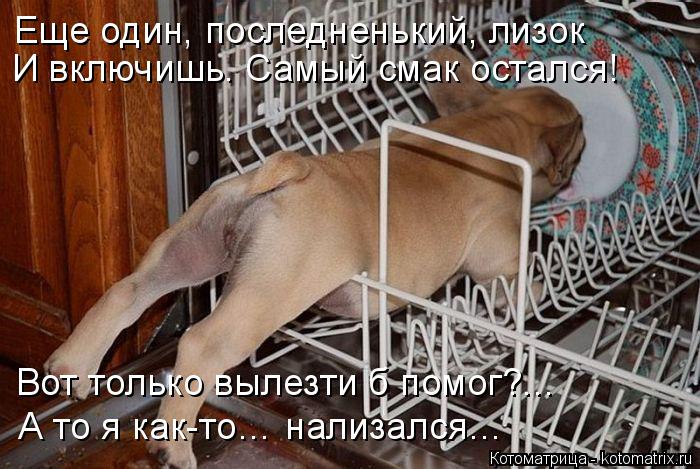 Еще один, последненький, лизок И включишь. Самый смак остался! Вот только вылезти б помог?... А то я ... Котоматрица: Еще один, последненький, лизок И включишь. Самый смак остался! Вот только вылезти б помог?... А то я как-то… нализался…