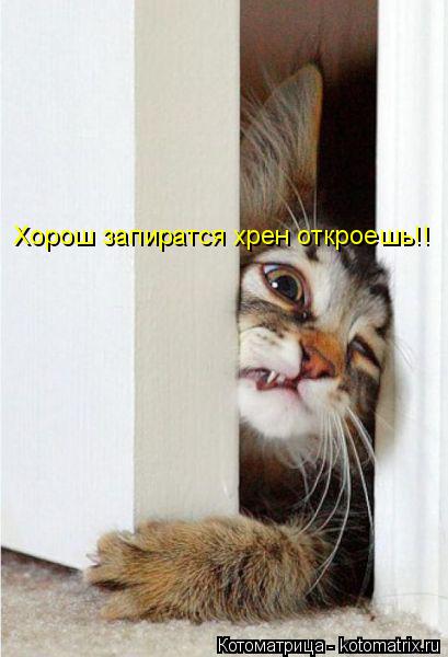 Котоматрица: Хорош запиратся хрен откроешь!!