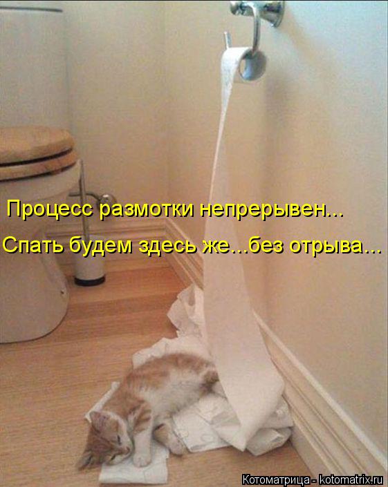 Процесс размотки непрерывен... Спать будем здесь же...без отрыва...... Котоматрица: Процесс размотки непрерывен... Спать будем здесь же...без отрыва...