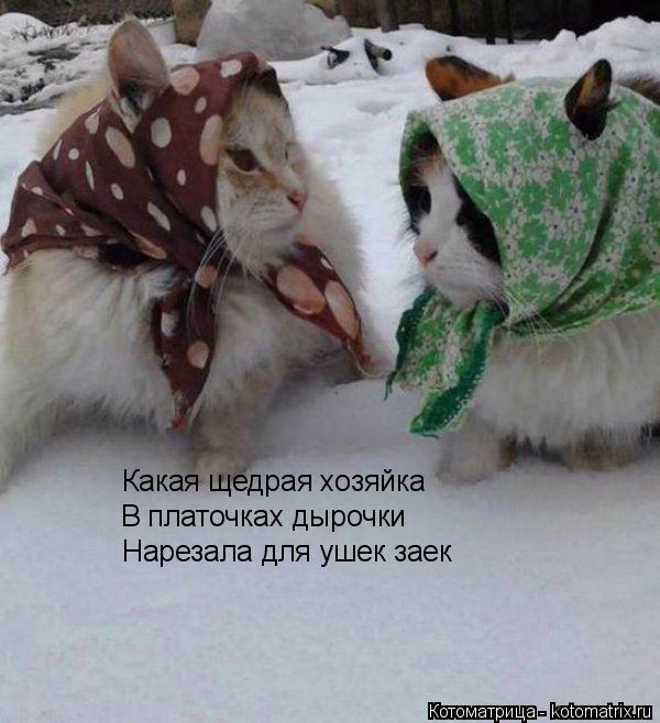 Котоматрица: Какая щедрая хозяйка В платочках дырочки Нарезала для ушек заек