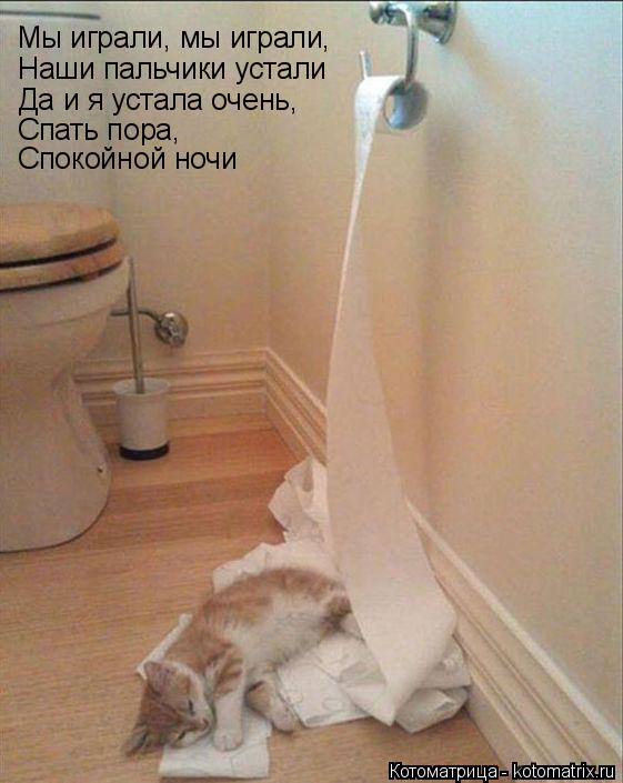 Котоматрица: Мы играли, мы играли, Наши пальчики устали Да и я устала очень, Спать пора, Спокойной ночи