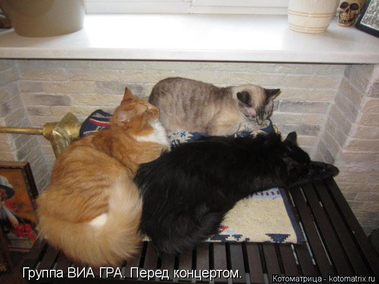 Котоматрица: Группа ВИА ГРА. Перед концертом.