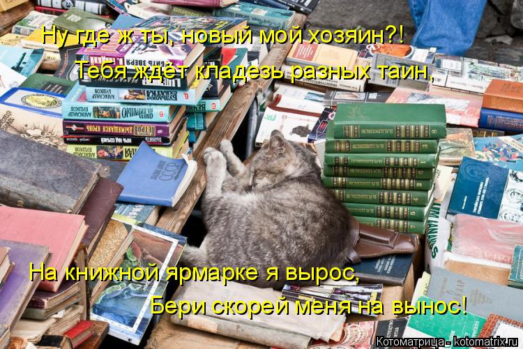 Котоматрица: Ну где ж ты, новый мой хозяин?! Тебя ждёт кладезь разных таин, На книжной ярмарке я вырос, Бери скорей меня на вынос!