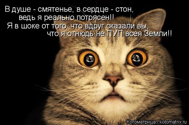 В душе - смятенье, в сердце - стон, ведь я реально потрясен!! Я в шоке от того, что вдруг сказали вы,... Котоматрица: В душе - смятенье, в сердце - стон, ведь я реально потрясен!! Я в шоке от того, что вдруг сказали вы, что я отнюдь не ПУП всея Земли!!