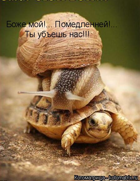 Котоматрица: Боже мой!... Помедленней!... Ты убъешь нас!!!