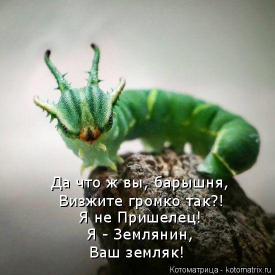 Котоматрица: Да что ж вы, барышня,  Визжите громко так?! Я не Пришелец! Я - Землянин, Ваш земляк!