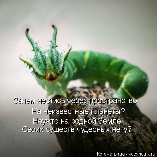 Зачем нестись через пространство На неизвестные планеты? Неужто на родной Земле Своих существ чудесны... Котоматрица: Зачем нестись через пространство На неизвестные планеты? Неужто на родной Земле Своих существ чудесных нету?