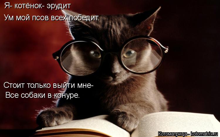 Котоматрица: Я- котёнок- эрудит Ум мой псов всех победит. Стоит только выйти мне- Все собаки в конуре.