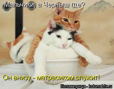 Котоматрица: Мальчики, а Черныш где? Он внизу - матрасиком служит!