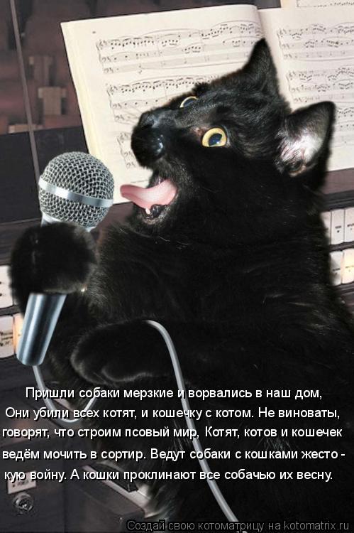 Котоматрица: Пришли собаки мерзкие и ворвались в наш дом, Они убили всех котят, и кошечку с котом. Не виноваты, говорят, что строим псовый мир, Котят, котов