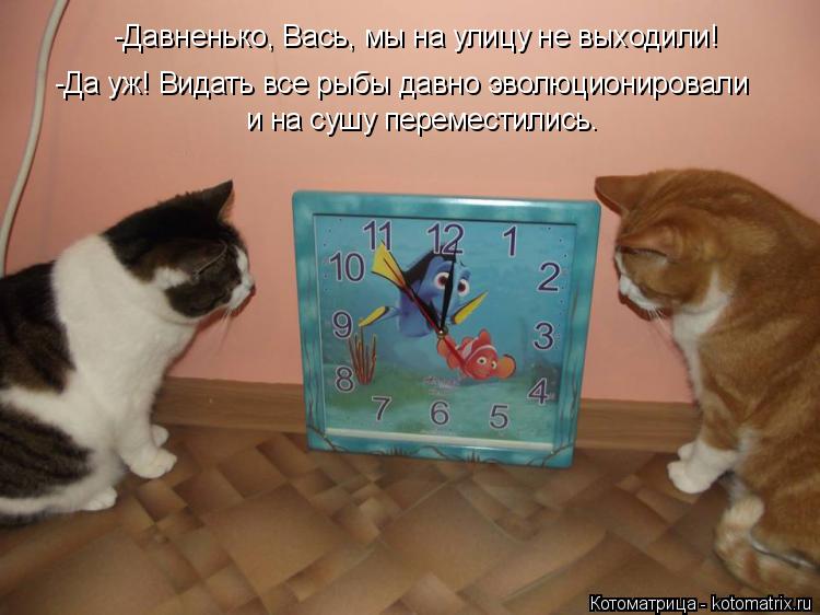 Котоматрица: -Давненько, Вась, мы на улицу не выходили! -Да уж! Видать все рыбы давно эволюционировали  и на сушу переместились.