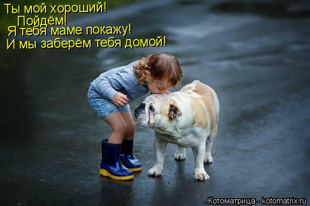 Котоматрица: Ты мой хороший! Пойдём! Я тебя маме покажу! И мы заберём тебя домой!