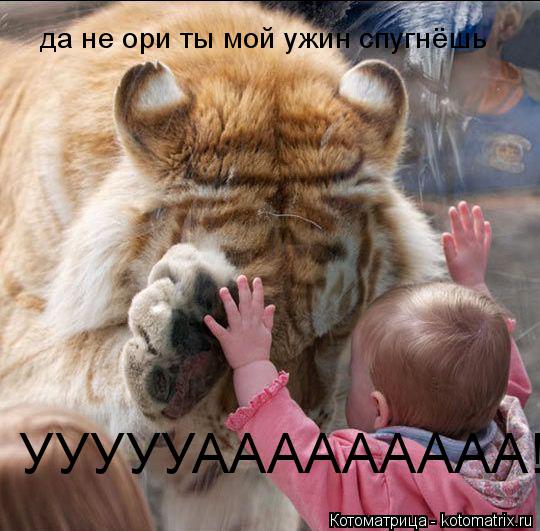 Котоматрица: УУУУУААААААААА!!! да не ори ты мой ужин спугнёшь