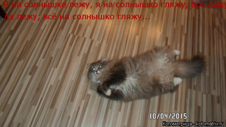 Котоматрица: Я на солнышке лежу, я на солнышко гляжу, всё лежу, да лежу, всё на солнышко гляжу... Я на солнышке лежу, я на солнышко гляжу, всё лежу, да лежу, вс