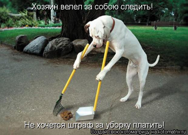 Котоматрица: Хозяин велел за собою следить! Не хочется штраф за уборку платить!