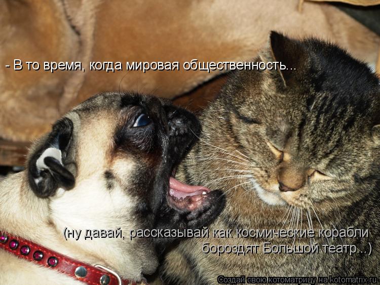 Котоматрица: - В то время, когда мировая общественность... (ну давай, рассказывай как космические корабли  бороздят Большой театр...)