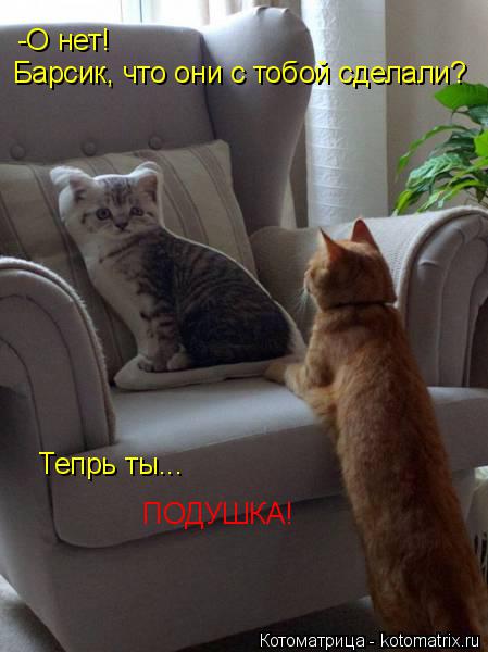 Котоматрица: -О нет! Барсик, что они с тобой сделали? Тепрь ты... ПОДУШКА!