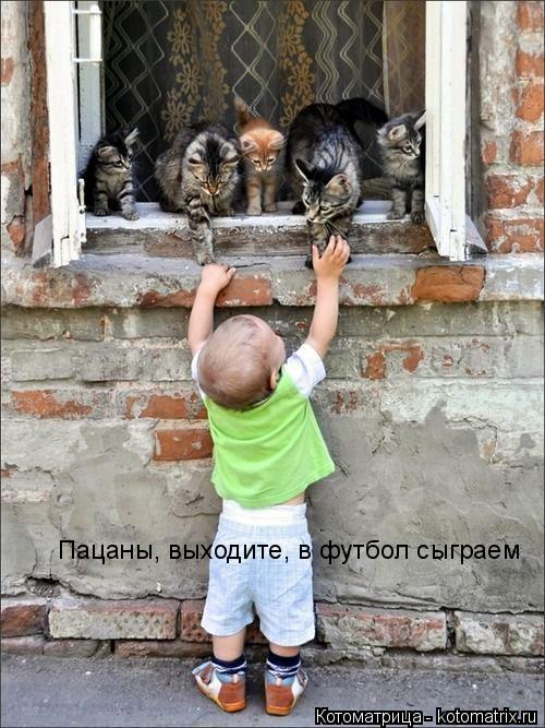 Котоматрица: Пацаны, выходите, в футбол сыграем