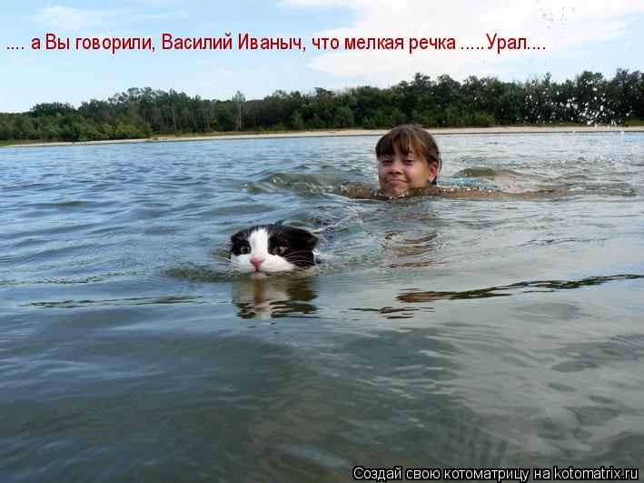 Котоматрица: .... а Вы говорили, Василий Иваныч, что мелкая речка .....Урал....
