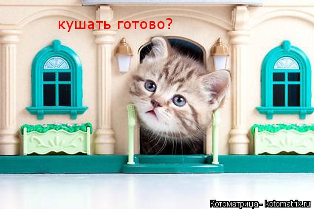 Котоматрица: кушать готово?