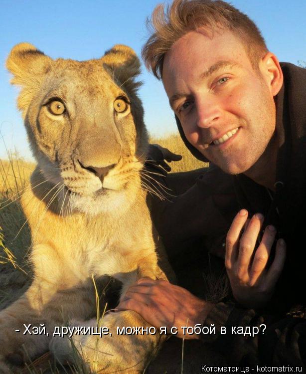 Котоматрица: Хэй, друзяка - Хэй, дружище, можно я с тобой в кадр?