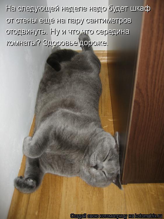 Котоматрица: На следующей неделе надо будет шкаф  от стены ещё на пару сантиметров отодвинуть. Ну и что,что середина  комнаты? Здоровье дороже.