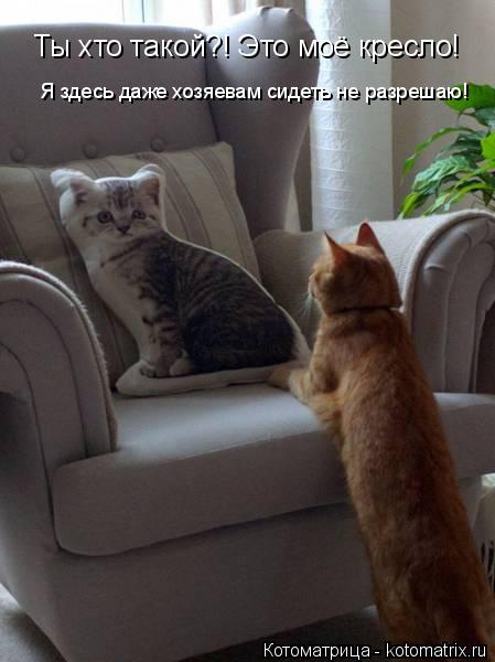 Котоматрица: Ты хто такой?! Это моё кресло! Я здесь даже хозяевам сидеть не разрешаю!