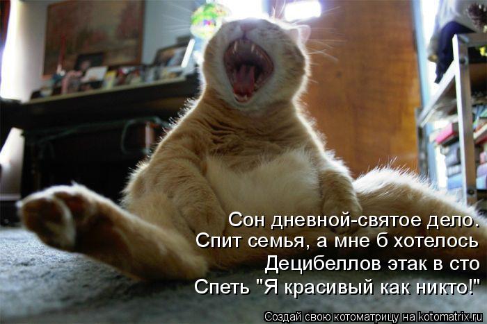 Сон дневной-святое дело. Спит семья, а мне б хотелось Децибеллов этак в сто Спеть "Я красивый как ник... Котоматрица: Сон дневной-святое дело. Спит семья, а мне б хотелось Децибеллов этак в сто Спеть "Я красивый как никто!"