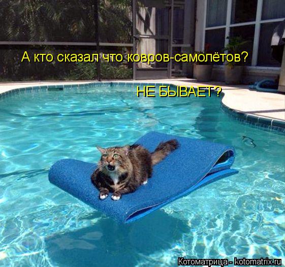 НЕ БЫВАЕТ? А кто сказал что ковров-самолётов?... Котоматрица: НЕ БЫВАЕТ? А кто сказал что ковров-самолётов?