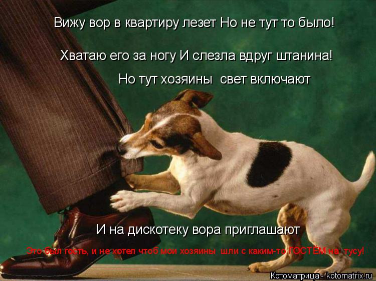 Вижу вор в квартиру лезет Но не тут то было! Хватаю его за ногу И слезла вдруг штанина! Но тут хозяин... Котоматрица: Вижу вор в квартиру лезет Но не тут то было! Хватаю его за ногу И слезла вдруг штанина! Но тут хозяины свет включают И на дискотеку вора приг