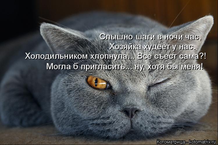 Слышно шаги в ночи час, Хозяйка худеет у нас. Холодильником хлопнула... Все съест сама?! Могла б приг... Котоматрица: Слышно шаги в ночи час, Хозяйка худеет у нас. Холодильником хлопнула... Все съест сама?! Могла б пригласить... ну, хотя бы меня!