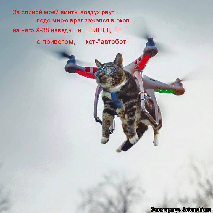 Котоматрица: За спиной моей винты воздух рвут... подо мною враг зажался в окоп... на него Х-38 наведу... и ...ПИПЕЦ !!!! с приветом,     кот-"автобот"