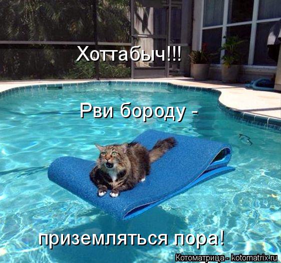 Хоттабыч!!! Рви бороду - приземляться пора!... Котоматрица: Хоттабыч!!! Рви бороду - приземляться пора!