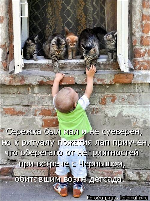 Сережка был мал и не суеверен, но к ритуалу пожатия лап приучен, что оберегало от неприятностей при... Котоматрица: Сережка был мал и не суеверен, но к ритуалу пожатия лап приучен, что оберегало от неприятностей при встрече с Чернышом, обитавшим возле дет