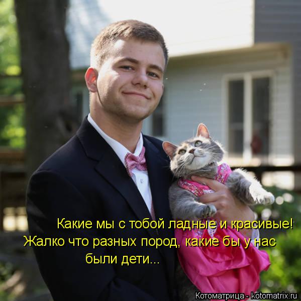 Какие мы с тобой ладные и красивые! Жалко что разных пород, какие бы у нас были дети...... Котоматрица: Какие мы с тобой ладные и красивые! Жалко что разных пород, какие бы у нас были дети...
