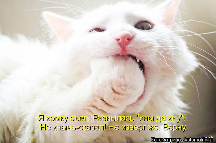 Я хомку съел. Разнылась "хны да хну"! Не хнычь-сказал! Не изверг же. Верну.... Котоматрица: Я хомку съел. Разнылась "хны да хну"! Не хнычь-сказал! Не изверг же. Верну.